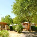 Flower Camping Le Bois D'amour - Bild 2