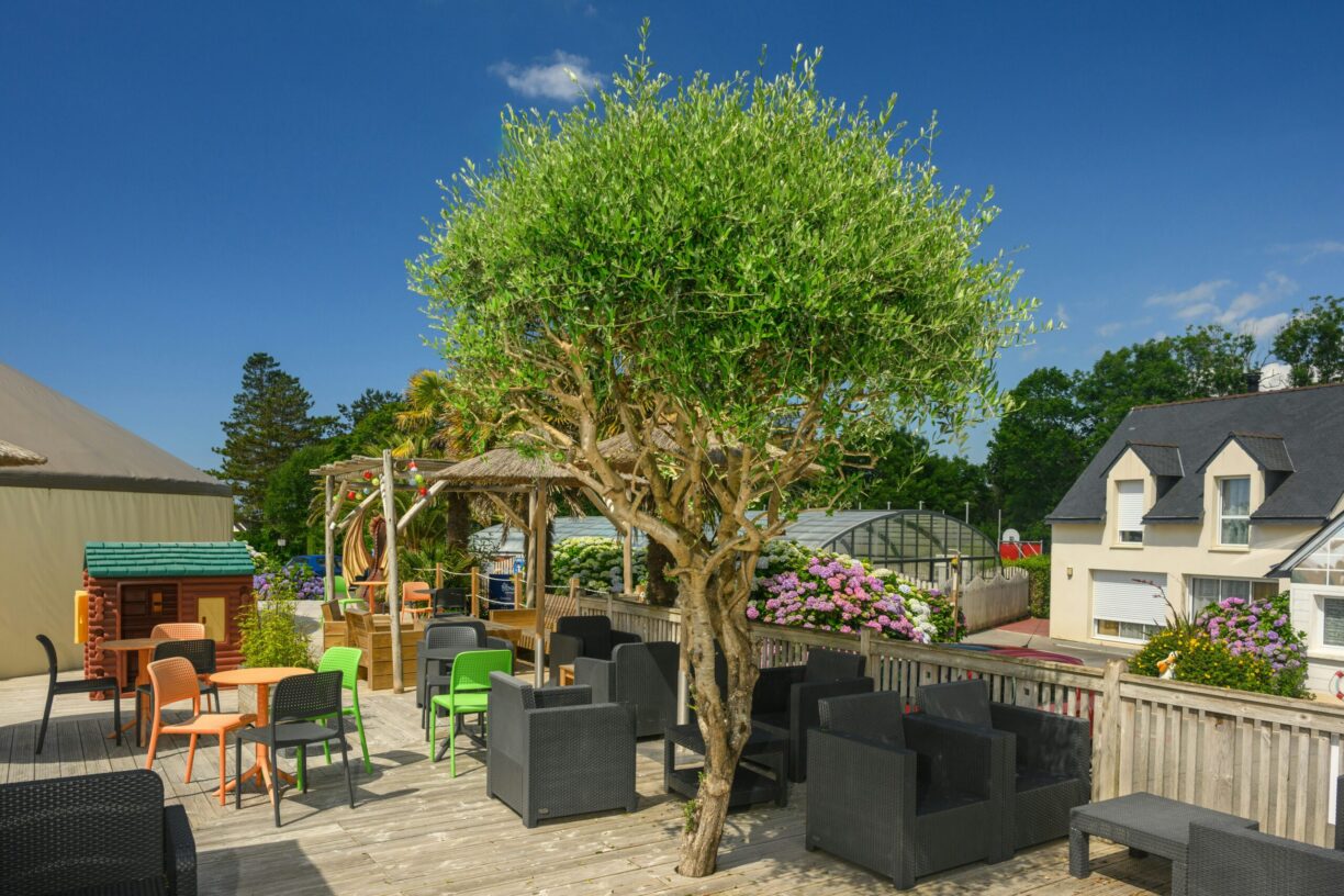 Flower Camping Le Kergariou - Bild 13 Flower Camping Le Kergariou - Bild 13