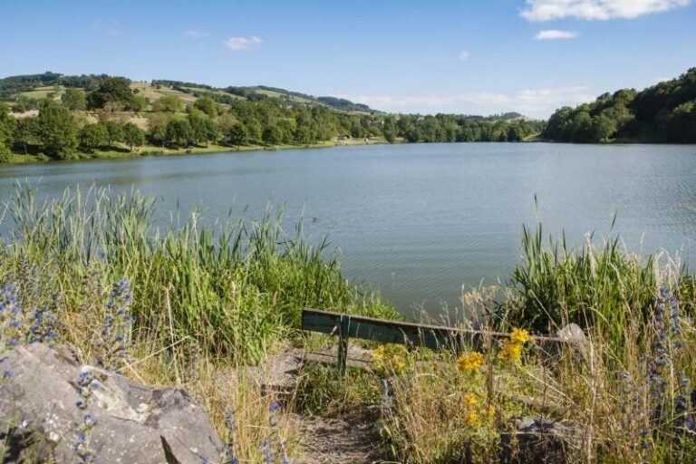 Flower Camping Le Lac De Saint-point - Bild 2