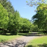 Flower Camping Le Lac De Saint-point - Bild 9