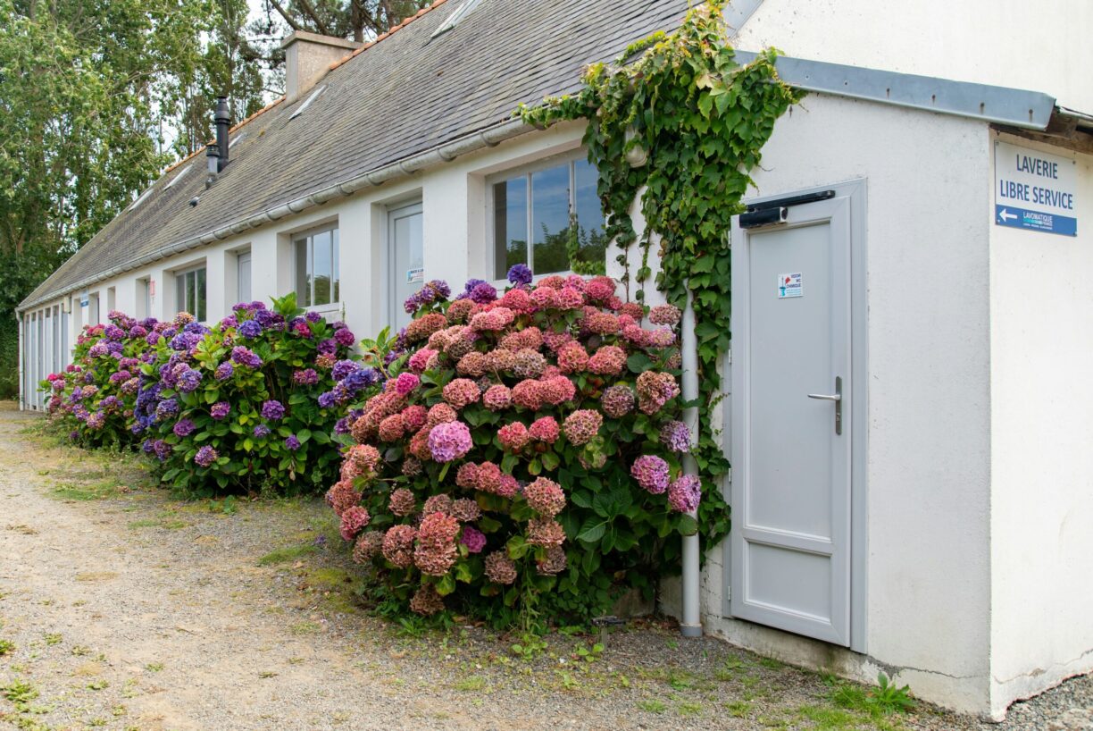 Flower Camping Le Port De La Chaine - Bild 10 Flower Camping Le Port De La Chaine - Bild 10