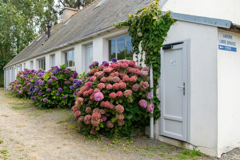 Flower Camping Le Port De La Chaine - Bild 10 Flower Camping Le Port De La Chaine - Bild 10