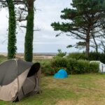 Flower Camping Le Port De La Chaine - Bild 4 Flower Camping Le Port De La Chaine - Bild 4