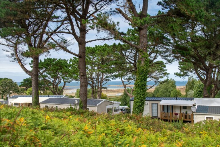 Flower Camping Le Port De La Chaine - Bild 1