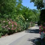 Flower Camping Le Saint Michelet - Bild 7 Flower Camping Le Saint Michelet - Bild 7