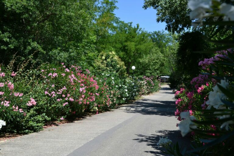 Flower Camping Le Saint Michelet - Bild 7 Flower Camping Le Saint Michelet - Bild 7