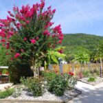 Flower Camping Le Tiradou - Bild 2