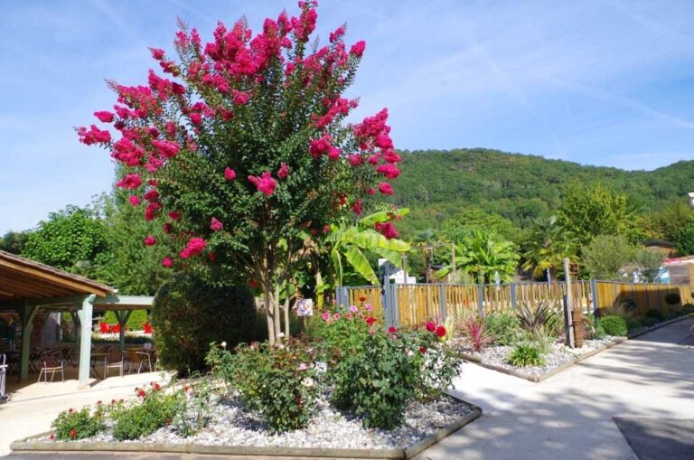 Flower Camping Le Tiradou - Bild 2