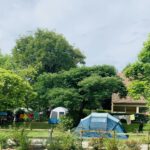 Flower Camping Le Tiradou - Bild 6