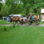 Flower Camping Les 3 Ours - Bild 11 Flower Camping Les 3 Ours - Bild 11