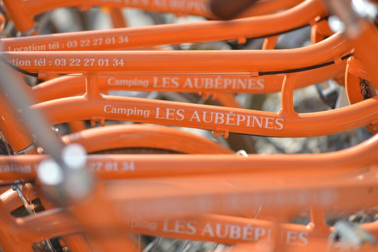 Flower Camping Les Aubépines - Bild 12