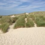 Flower Camping Les Aubépines - Bild 9