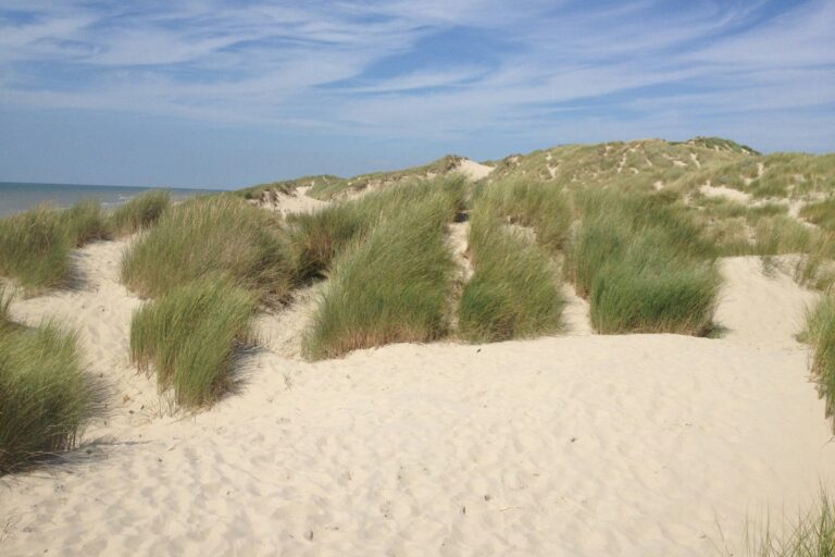 Flower Camping Les Aubépines - Bild 9