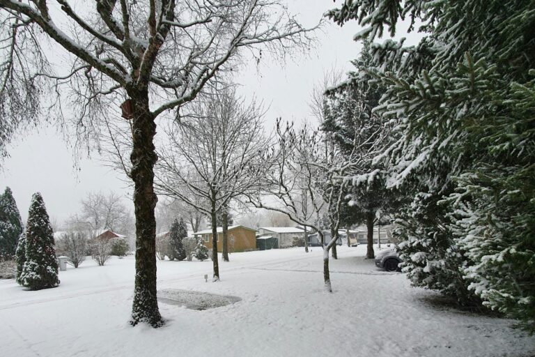 Flower Camping Les Bouleaux - Bild 9 Flower Camping Les Bouleaux - Bild 9