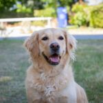 Flower Camping Les Granges - Bild 12