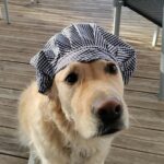 Flower Camping Les Granges - Bild 13