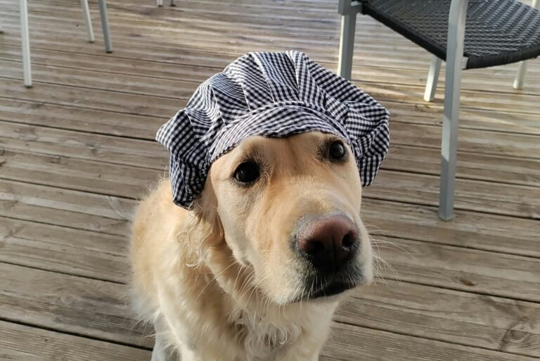 Flower Camping Les Granges - Bild 13