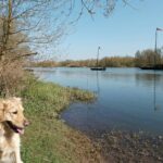 Flower Camping Les Granges - Bild 14