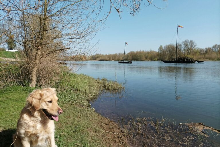 Flower Camping Les Granges - Bild 14