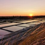 Flower Camping Les Ilates - Bild 14