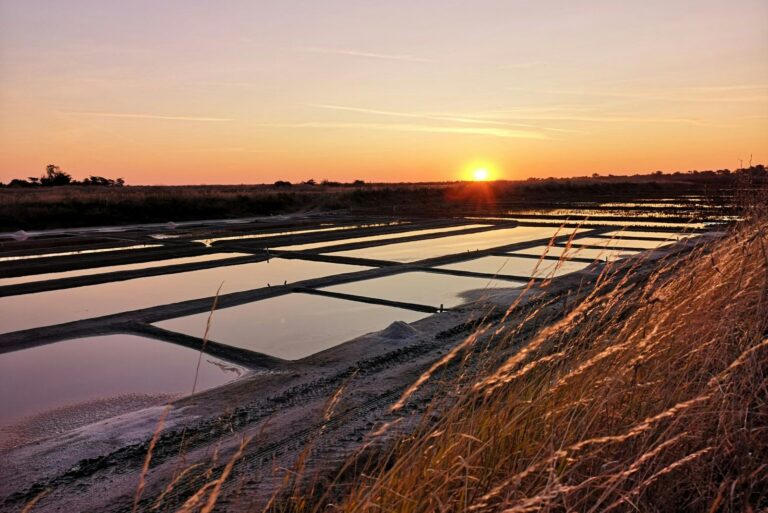 Flower Camping Les Ilates - Bild 14