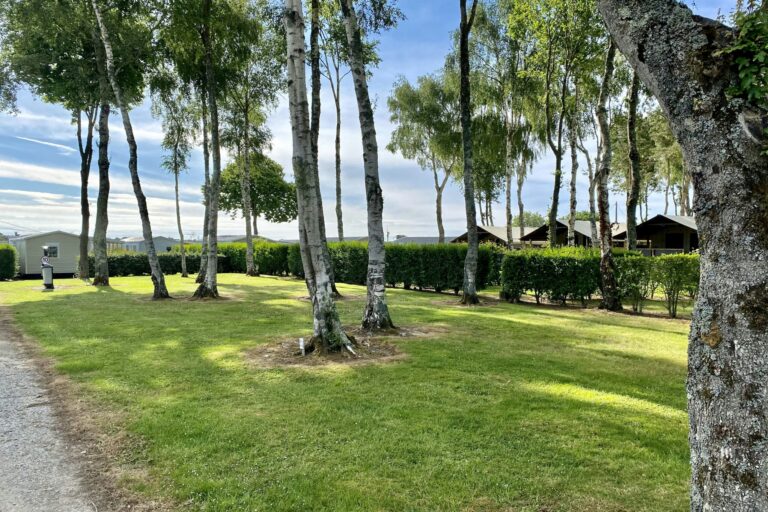 Flower Camping Les Jardins De Kergal - Bild 7 Flower Camping Les Jardins De Kergal - Bild 7