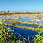 Flower Camping Les Paludiers - Bild 4