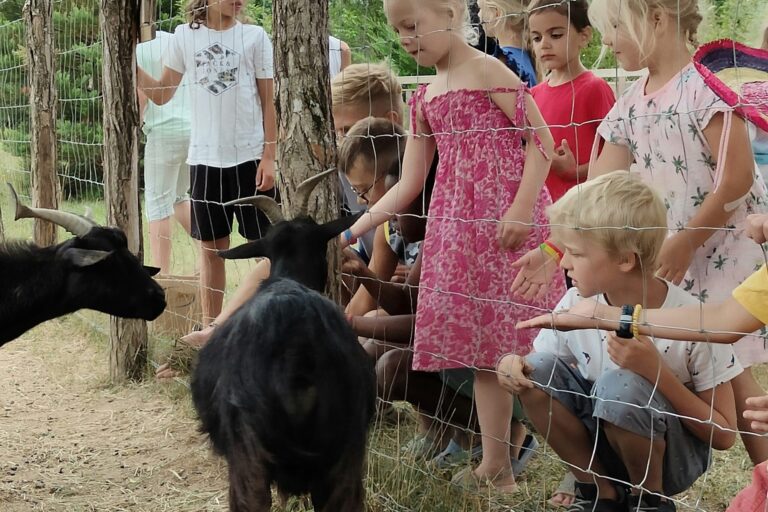Flower Camping Les Plages De L´ain - Bild 15