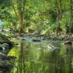 Flower Camping Les Tomasses - Bild 10 Flower Camping Les Tomasses - Bild 10