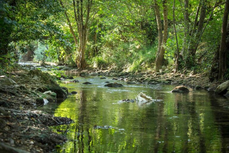 Flower Camping Les Tomasses - Bild 10 Flower Camping Les Tomasses - Bild 10