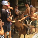 Flower Camping Les Tomasses - Bild 6 Flower Camping Les Tomasses - Bild 6