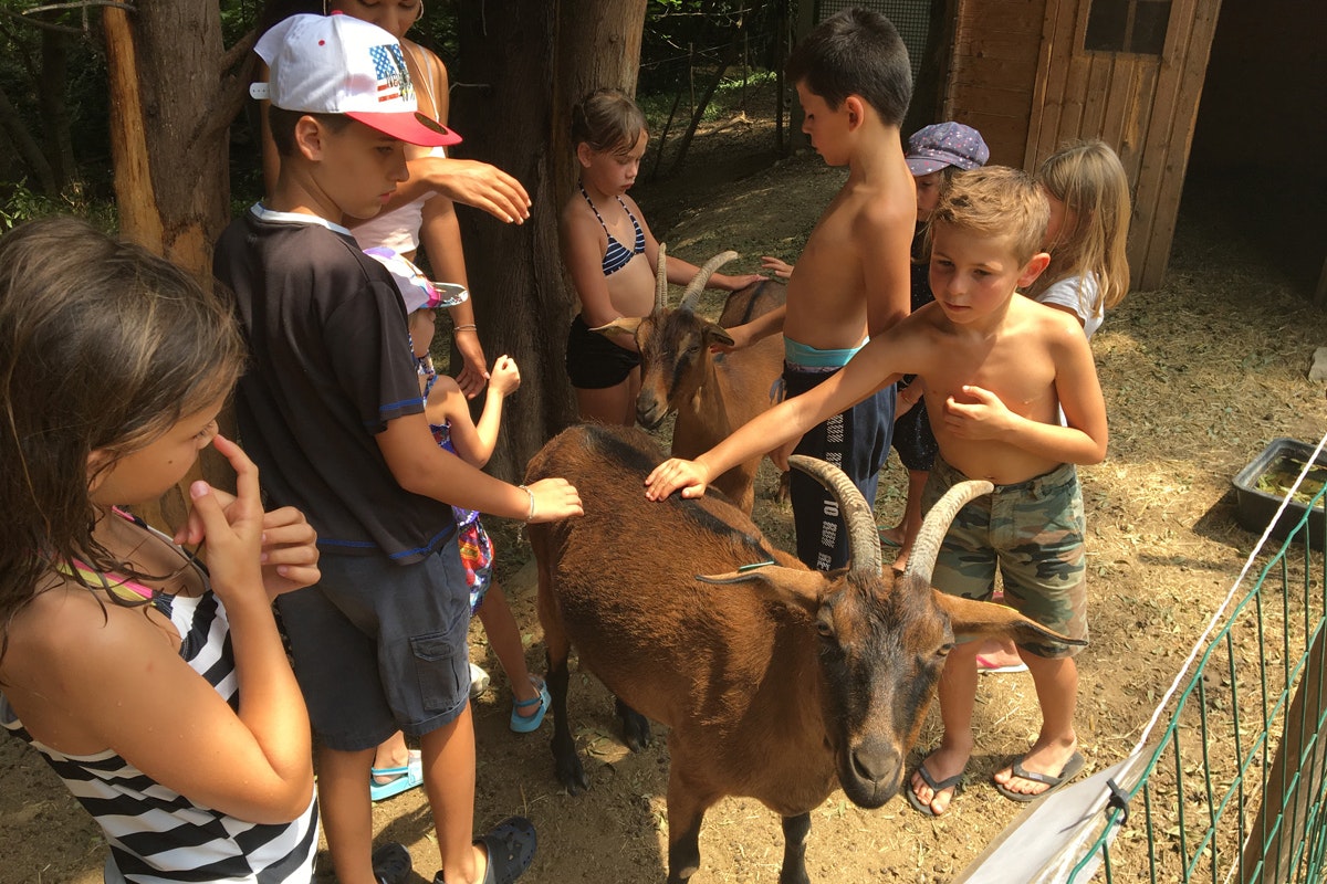 Flower Camping Les Tomasses - Bild 6 Flower Camping Les Tomasses - Bild 6