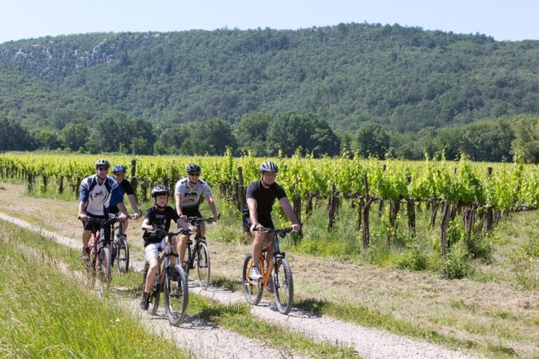 Flower Camping Les Truffières - Bild 14