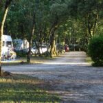 Flower Camping Les Truffières - Bild 16