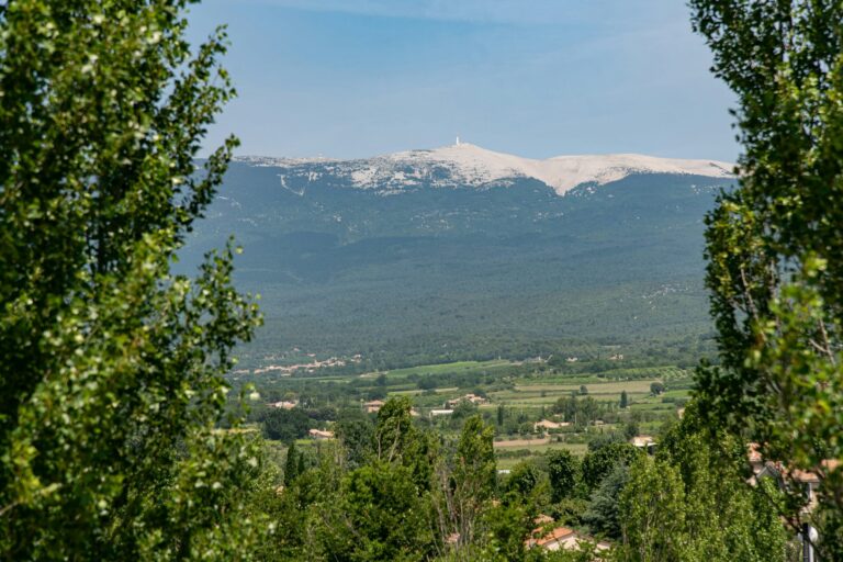 Flower Camping Les Verguettes - Bild 18