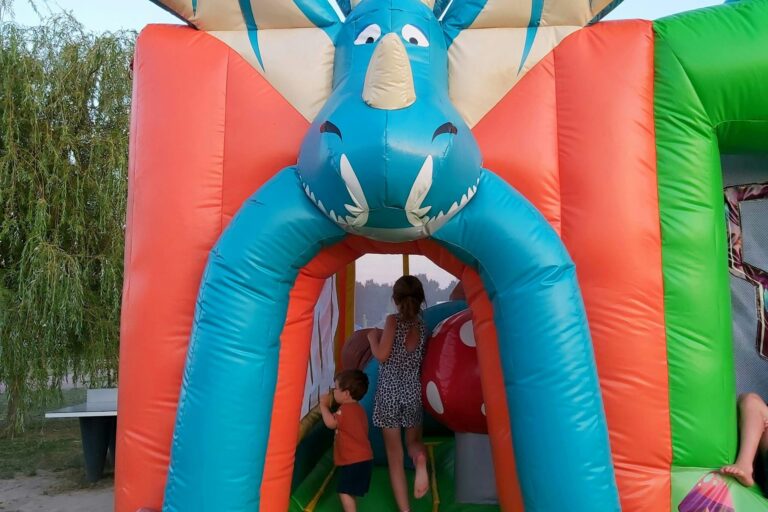 Flower Camping Loire Et Châteaux - Bild 12