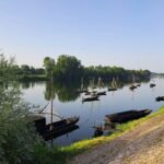 Flower Camping Loire Et Châteaux - Bild 15