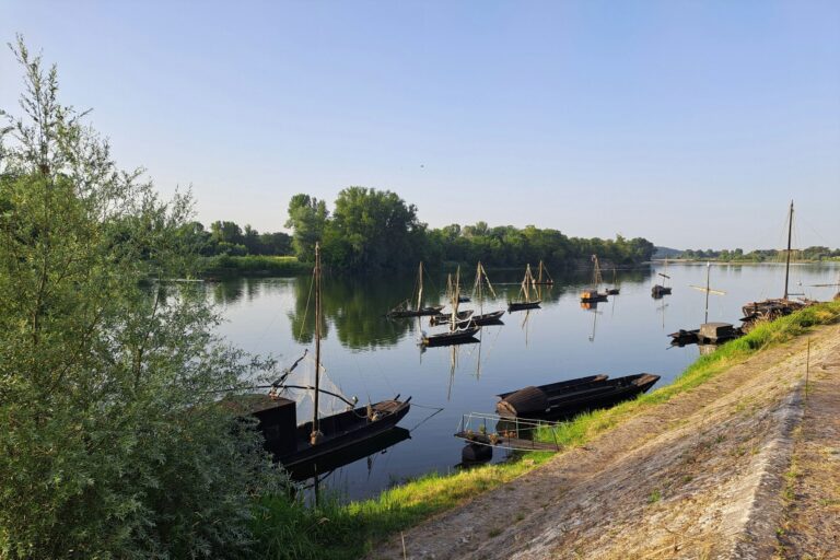 Flower Camping Loire Et Châteaux - Bild 15