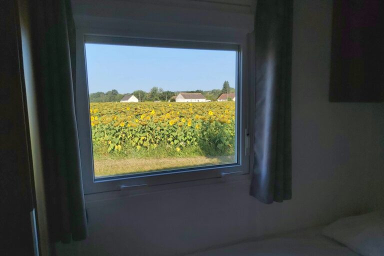 Flower Camping Loire Et Châteaux - Bild 16