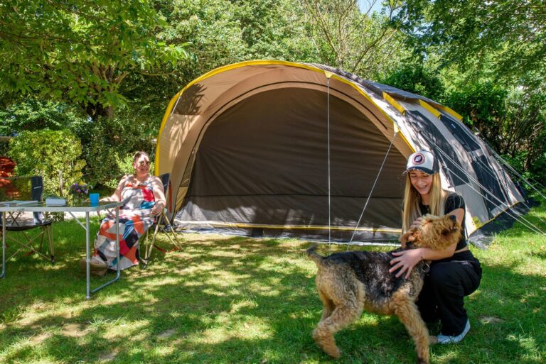 Flower Camping Saint-martin - Bild 10