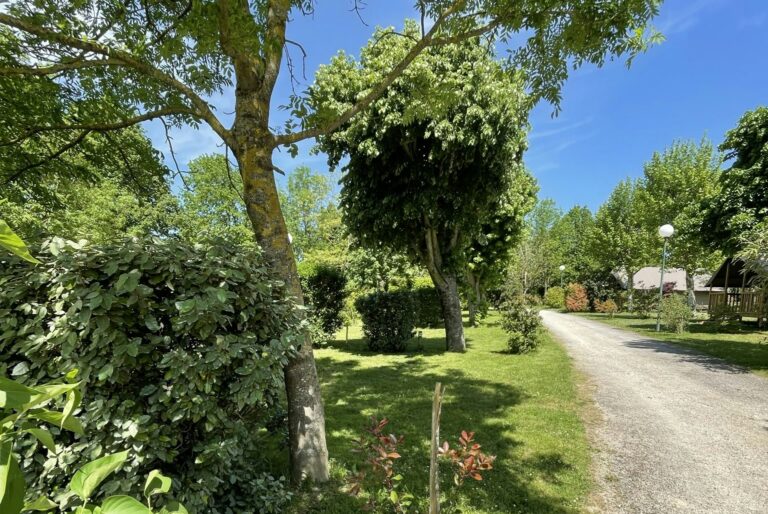 Flower Camping Saint-martin - Bild 11