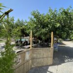 Flower Camping Saint-martin - Bild 13