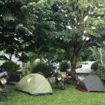 Flower Camping Saint-martin - Bild 16