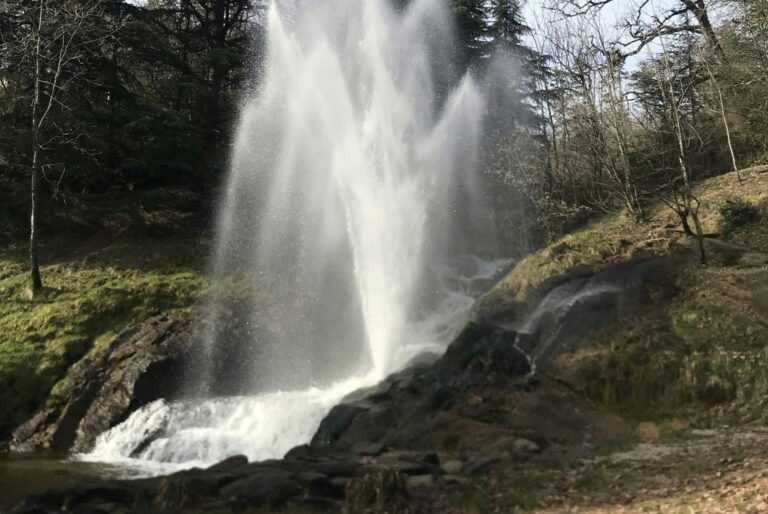 Flower Camping Saint-martin - Bild 17