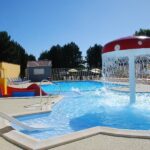 Flower Camping Vitamin - Bild 2 Flower Camping Vitamin - Bild 2