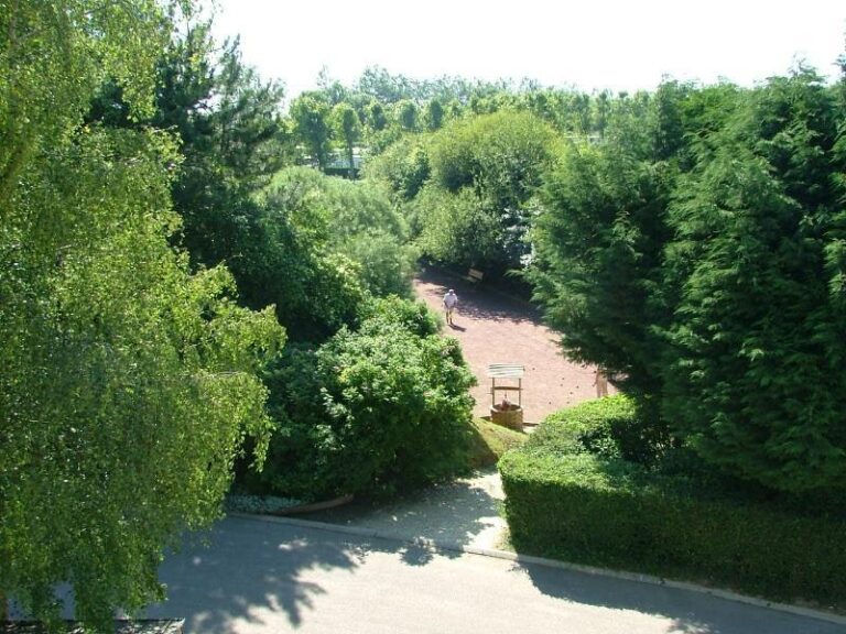 Flower Camping Vitamin - Bild 3 Flower Camping Vitamin - Bild 3