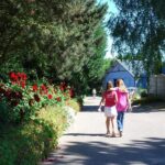 Flower Camping Vitamin - Bild 4 Flower Camping Vitamin - Bild 4