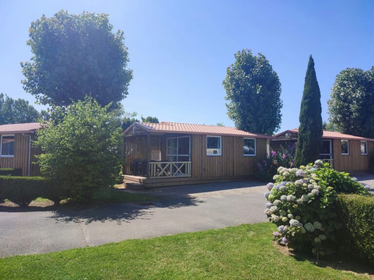 Flower Camping Vitamin - Bild 5 Flower Camping Vitamin - Bild 5