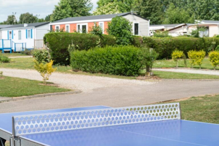 Flower Camping Vitamin - Bild 6 Flower Camping Vitamin - Bild 6