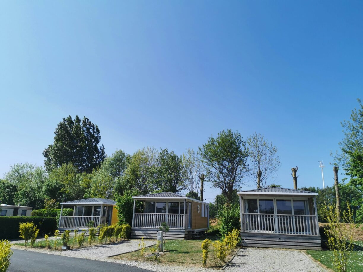 Flower Camping Vitamin - Bild 1 Flower Camping Vitamin - Bild 1